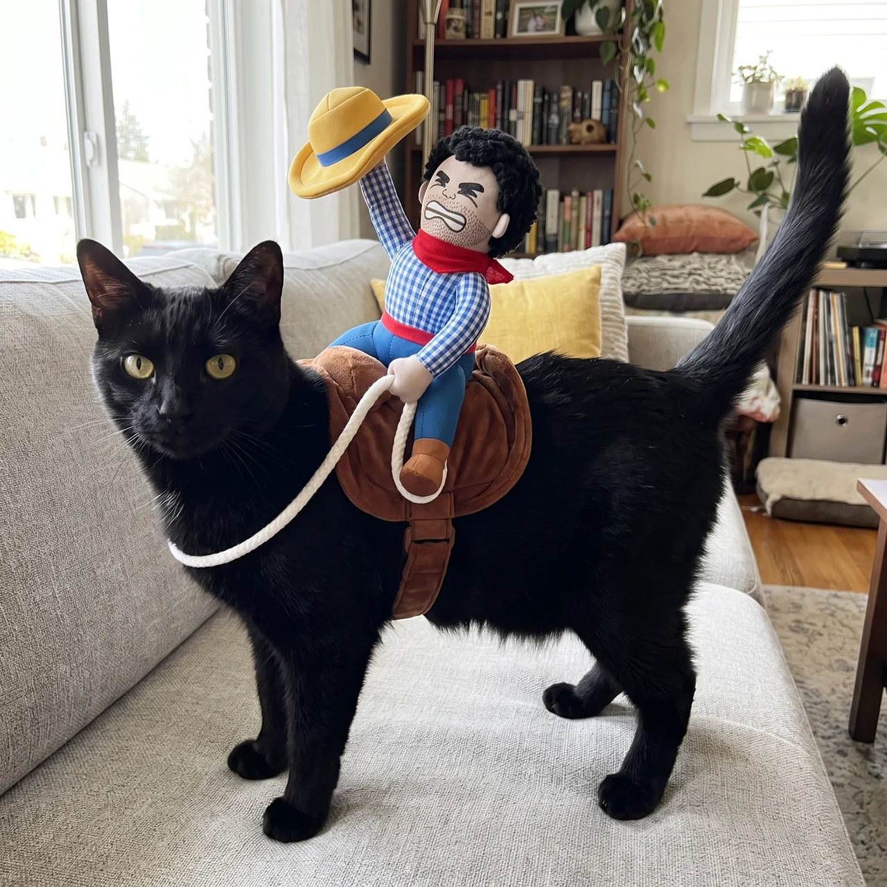 RiderPals™ Cowboy Costume